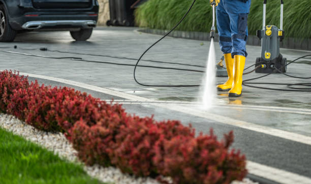 Professional Pressure Washing in South Lakes, AK